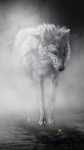 Share the best gifs now >>>. Anime White Wolf Wallpaper