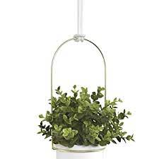 Check spelling or type a new query. Umbra Triflora Hanging Planter For Window Indoor Herb Garden White Black Amazon Ca Patio Lawn Garden