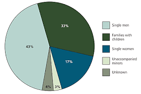 this pie chart represents families women and men that are