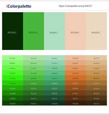 Envisage cozy brown leather sofas and walls painted a calm shade of beige. 13 Latest Color Schemes With Lime Green And Beige Color Tone Combinations 2021 Icolorpalette