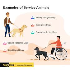 Are Emotional Support Animals Covered Under The Ada Mango Clinic