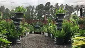 10546 dorchester rd, summerville (sc), 29485, united states. Flowertown Garden Center Home Facebook
