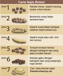 Adapun mensucikan najis hukmiyah yaitu dengan cara mengalirkan air di tempat yang awalnya terkena najis tersebut. Kenali Jenis Najis Anak Anda Mama Harus Tahu May 2021 Kelabmama Malaysia