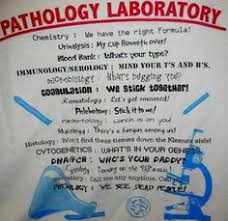 An idiom is a short phrase with its own specific meaning, and learning english idioms can help you to understand and become more like a native speaker. 72 Mlt Medical Laboratory Tech Ideas Medical Laboratory Lab Humor Medical Humor