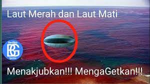 Laut merah memiliki lebar 300 km dan panjang 1.900 km yang mempunyai titik terdalam 2.500 m. Mencengangkan Fakta Laut Merah Dan Laut Mati Youtube