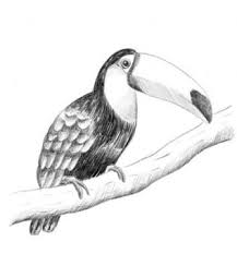 Billigermalen Die Kunst Des Zeichnens Der Workshop Kunstlerbedarf Online Kaufen