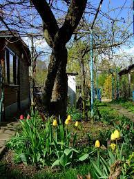 Haus mit garten frankfurt am main Einen Kleingarten In Frankfurt Finden Und Pachten Frankfurter Beete