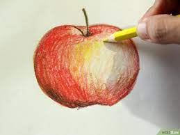 Buah apel yang ini memiliki kesamaan dengan apel merah bedanya warnanya yang hijau sesuai namanya dan rasanya yang agak sedikit asam. Sketsa Gambar Apel Berwarna Arini Gambar