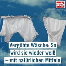 Die teuren, oft umweltschädlichen produkte aus dem drogeriemarkt braucht es aber gar nicht. 140 Haushalt Ordnung Ideen Haushalt Haushalts Tipps Haushaltstipps