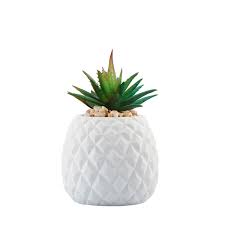 We did not find results for: Pineapple Faux Plant Kmart Plant Decor Artificial Plants Decor Artificial Plant Wall