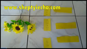 Tapi secara tampilan bunga ini memiliki cirri khas tersendiri. Shepty Iecha Blog