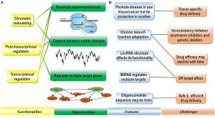 But in each powerpoint template description we let you know the free pic bank that we use for its cover nad the screenshot example. Frontiers The Emerging Role Of Major Regulatory Rnas In Cancer Control Oncology