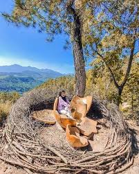 Wisata spot foto yang dibuka sejak 2017 ini berlokasi di dusun brau, desa gunungsari, kecamatan bumiaji, tepatnya di dalam kawasan gunung banyak. Wajib Mampir Ini 10 Spot Instagramable Yang Ada Di Coban Rondo