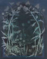 Bildergebnis für Theodora Allen