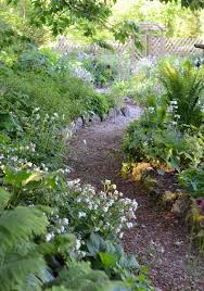Maybe you would like to learn more about one of these? Gardening Getting Best Results From Narrow Shady Borders The Westmorland Gazette