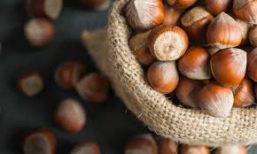 The hazelnut is the fruit of the hazel and therefore includes any of the nuts deriving from species of the genus corylus, especially the nuts of the species corylus avellana. How Ethical Is The Hazelnut Industry In Turkey New Food Magazine