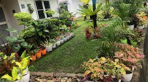 Diy cara menata taman depan rumah bagi pemula part 2. Cara Menata Taman Depan Rumah Bagi Pemula Youtube