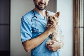 Just remember that many conditions, not just cancer, can cause similar clinical signs, and that the signs may vary depending on the type of cancer. The Dangers Of Head Pressing Is Your Dog Suffering From Hepatic Encephalopathy