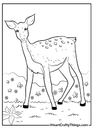 This compilation of over 200 free, printable, summer coloring pages will keep your kids happy and out of trouble during the heat of summer. Printable Deer Coloring Pages Updated 2021