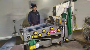 Cumpara pe boromir market sucuri naturale. Freca Cantitate Mare EleganÅ£Ä PresÄ De Suc Deborahdamus Com