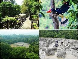 Tempat menarik di sabah 2021. 66 Tempat Menarik Di Sabah 2021 Destinasi Terbaik Negeri Di Bawah Bayu