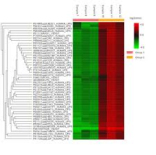 Image result for bioinformatics heatmap