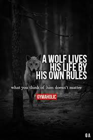 We did not find results for: 87 Wolf Ideen Krieger Zitate Wolf Hunde Weisheiten