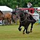 Rutland County Show event image