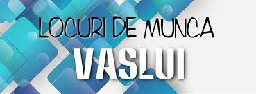 Locuri de munca in iasi din toate domeniile. Locuri De Munca Vaslui Home Facebook