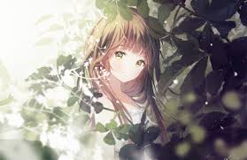 Kết quả hình ảnh cho ảnh anime