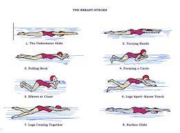 Maybe you would like to learn more about one of these? Renang Gaya Dada Pojok Ilmu