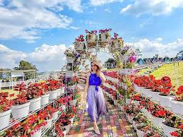 Inilah daftar nama bunga beserta gambar nya, indah, unik, cantik dan langka, lengkap dengan penjelasannya. 5 Alasan Berwisata Di Taman Bunga Celosia Palembang Now Palembang