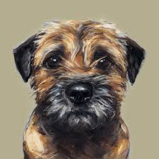 Discover beautiful drawings and see how they're made. Border Terrier Print Ltd Ed Dog Art Painting Print Etsy Dog Portraits Border Terrier Dog Art