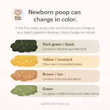 Image result for Newborn Stool Color