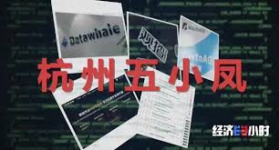 TGO 鲲鹏会入选杭州AI “五小凤”，科技领导者社区获官方认可_TOM科技