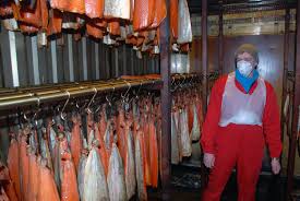 Image result for Molde Norway salmon