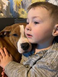 Let's see your gawgus fur babies from a puppy to know