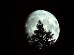 Primul om care a pășit pe lună a fost neil armstrong, comandantul misiunii. Poze Cu Luna Didifanmj