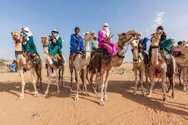 Almost 4000 years ago sahara used to be a fertile land. How To Travel The Sahara Safely Explorersweb