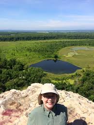 Image result for Trachyandra burkei