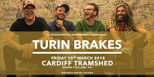 Image result for turin brakes