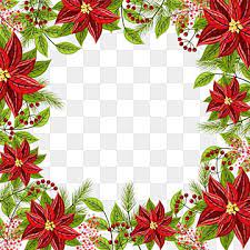 Christmas Poinsettia Flowers Border Christmas Poinsettia Decorative Flower Png Transparent Clipart Image And Psd File For Free Download Merry Christmas Card Greetings Poinsettia Flower Christmas Poinsettia