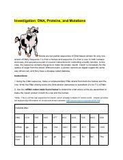 Investigation dna proteins and mutations answers investigation regulatory switches of the pitx1 gene in stickleback fish biology libretexts a molecule of dna consists of two chains that are wrapped around from media. S Ixa4lbzlkakm