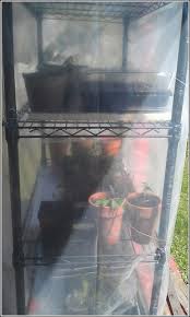 Want your seedlings to grow and grow? Simple Diy Mini Greenhouse Hatching A Plot