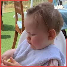 Alyssa Bird Photography