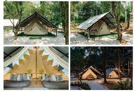 Tapak perkhemahan di lang tengah 8.0 sangat baik 1 reviu with turtle bay beach reachable in less than 1 km, dewati camp side offers accommodation, a restaurant, a bar, a garden and a private beach area. Tidur Di Khemah Tengah Hutan Umpama Hotel 5 Bintang 6 Aktiviti Tarikan Dusun Bonda Destinasi Mstar