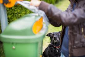 We specialize in effective yard clean up and pet waste removal so that you can maintain clean and healthy outdoor spaces for you and your pets. Memphis Hoarding