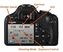 Learn How To Use Your Dslr Camera With This Easy Photography Tutorial Whole Lifestyle Nutrition Organic Recipes Holistic Recipes Photography Basics Photography Lessons Dslr Photography