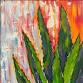 1/2 off drinks | Abstract Agave