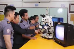 Image result